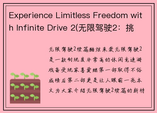 Experience Limitless Freedom with Infinite Drive 2(无限驾驶2：挑战自由之极限)